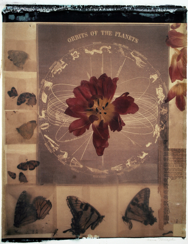 Orbits of the Planets 2005 - 20x24 - $3200 Framed