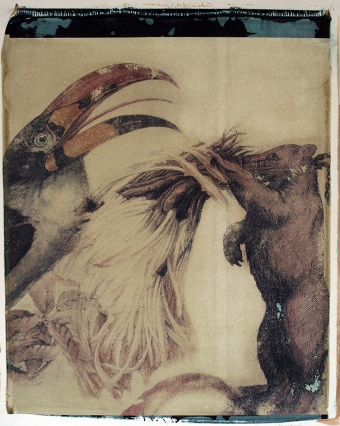 Dancing Bear 2010 - 20x24 - $3200 Framed