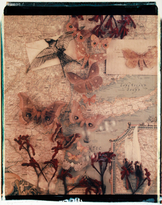 Long Island Swallow II 2001 - 20x24 - $3200 Framed