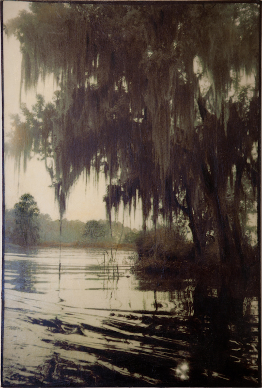 Bayou Barataria - $1200 - 20 X 30 Acrylic on Giclee