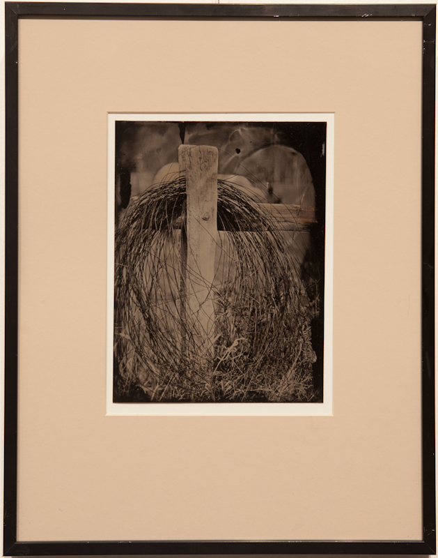 Coiled Wire - Tintype on Aluminum - $500