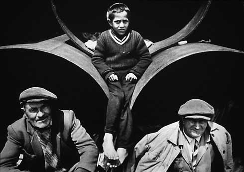 Herb Collectors - 1991 - $1800