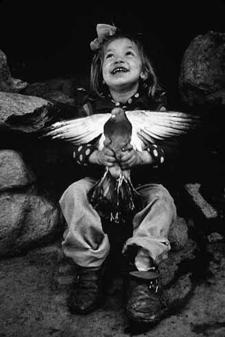 Child with Dove - 1988 - $3500