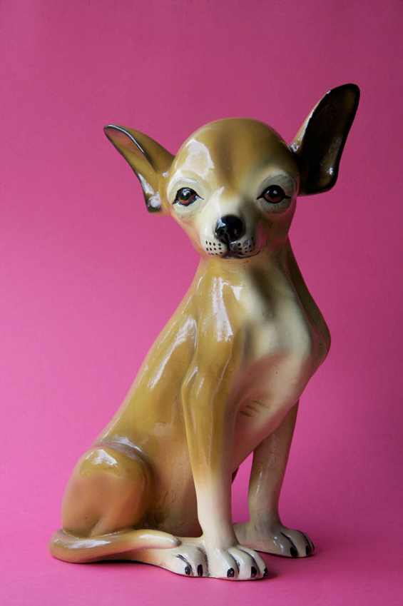 Chihuahua 2009 - 22x33 - $2000