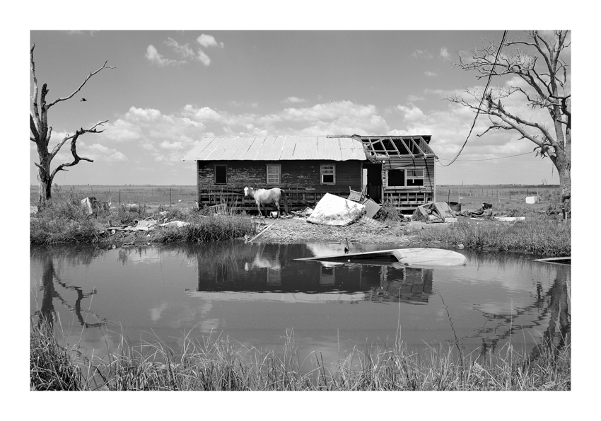 The Last Horse - 12x18 - $850-$1000