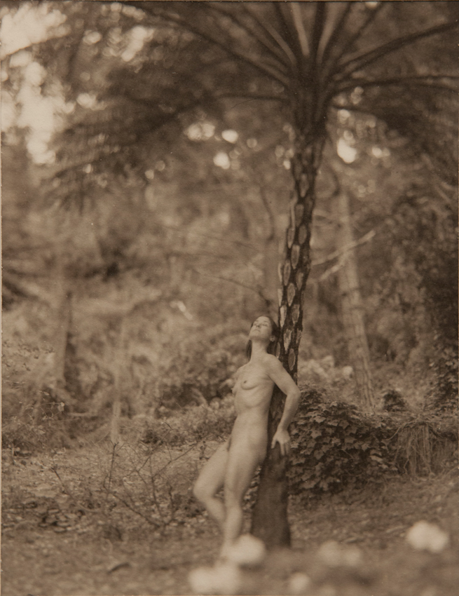 T.Bennett - Dryad - 4