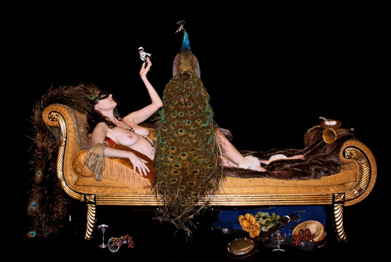 L'Oiseau 2014 - 40x60 - $3750