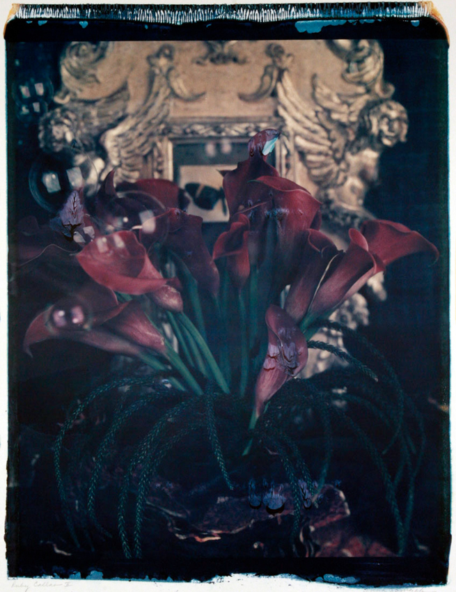 Anna Tomczak - Ruby Callas III - 26 1/2 x 20 1/2 - $3200